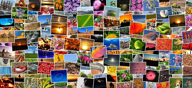 How to find free images, videos and artwork How to find free images, videos and artwork