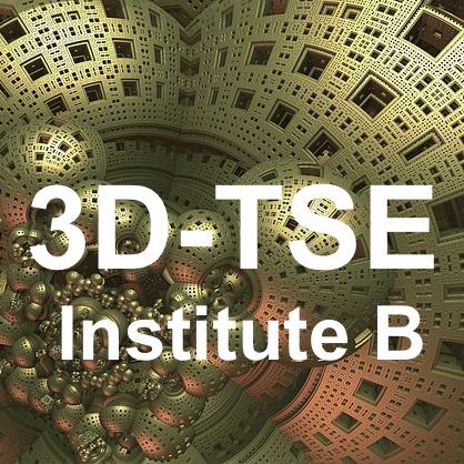 3d TSE Institute B