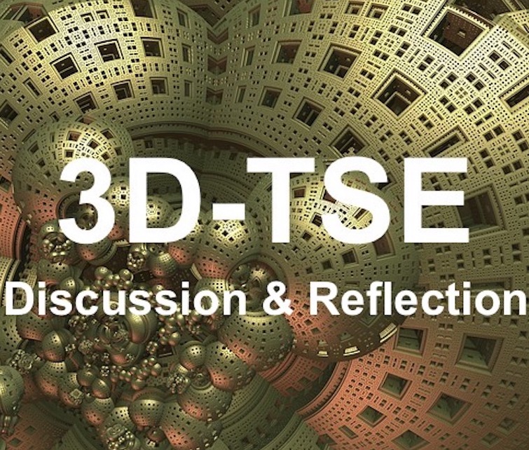 3D TSE Discussion and Reflection