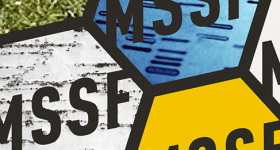 Maine State Science Fair 2018 MMSA