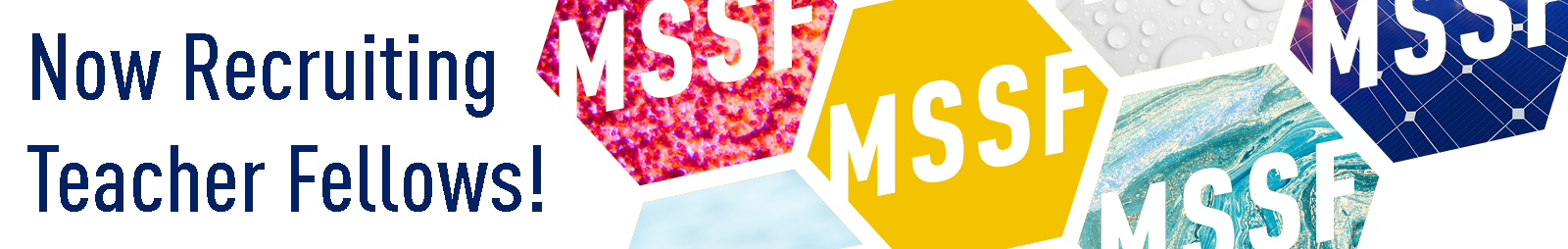 now recruiting 2020 MSSF Fellows