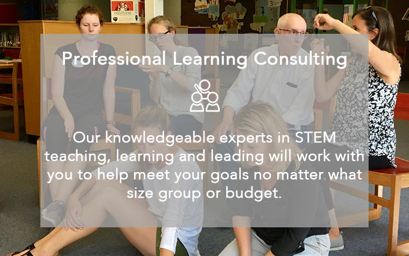 Professional Learning Consulting at MMSA