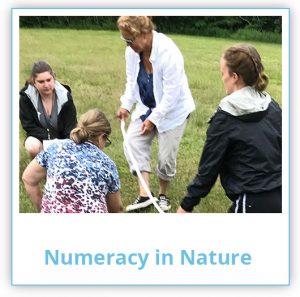 Numeracy in Nature