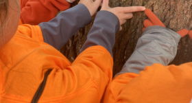 Numeracy in Nature Measure Whats Wild