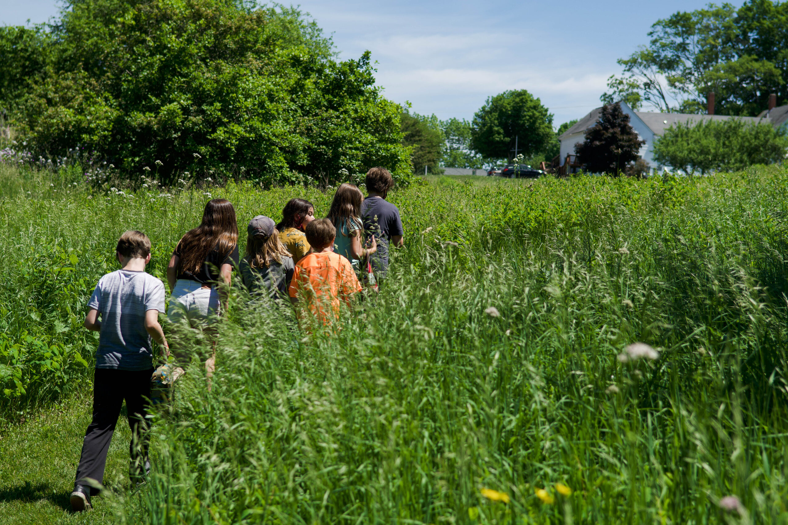 Children walk through tall grass with trees in the background.