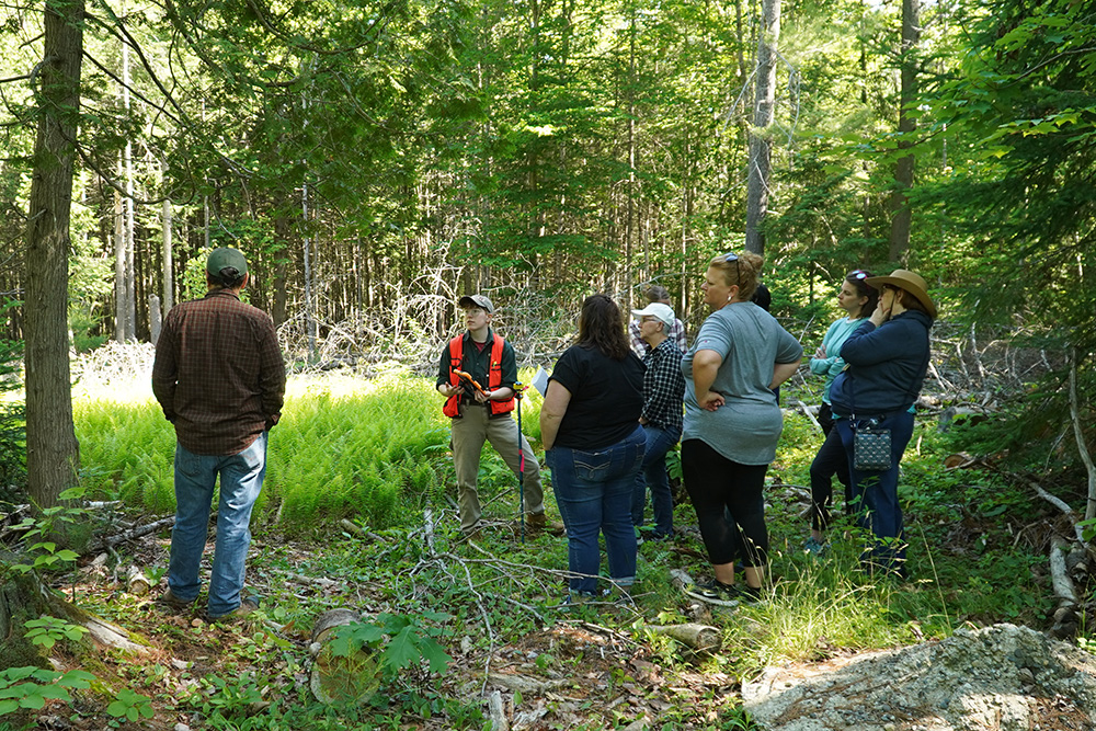 A group of educators convene in a wooded environment; a person in an orange vest speaks to the group.