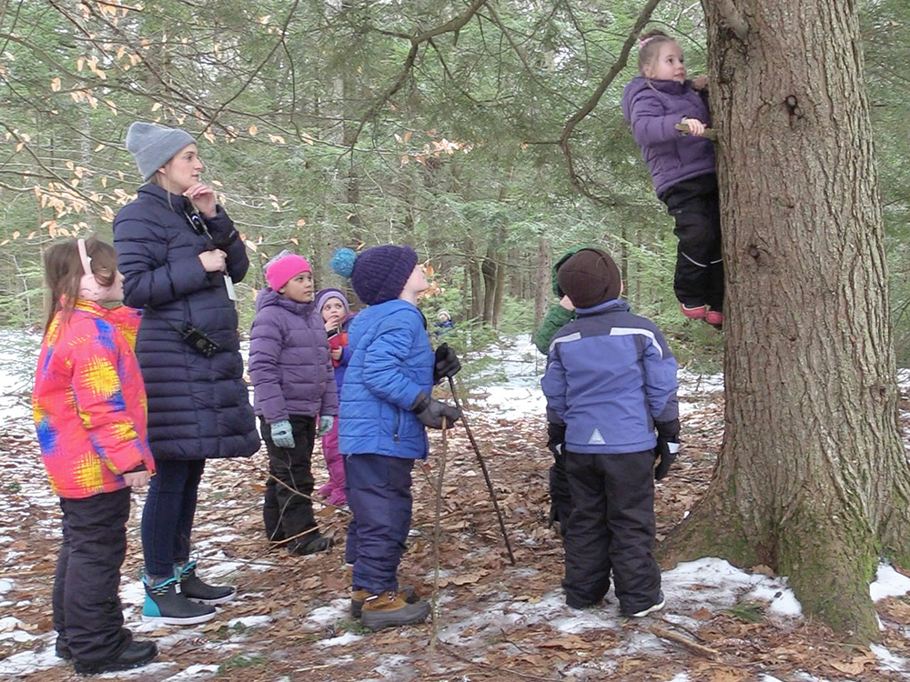 A group of children tries to figure out how to get a snowball out of a tree during outdoor play while their teacher closely observes.