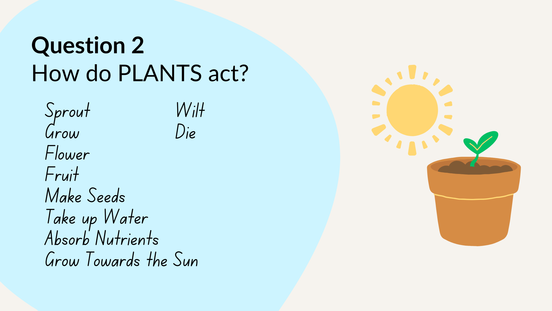 Question 2: How do plants act? Examples: Sprout, Grow, Flower, Fruit, Make Seeds, Take Up Water, Absorb Nutrients, Grow Towards the Sun, Wilt, Die