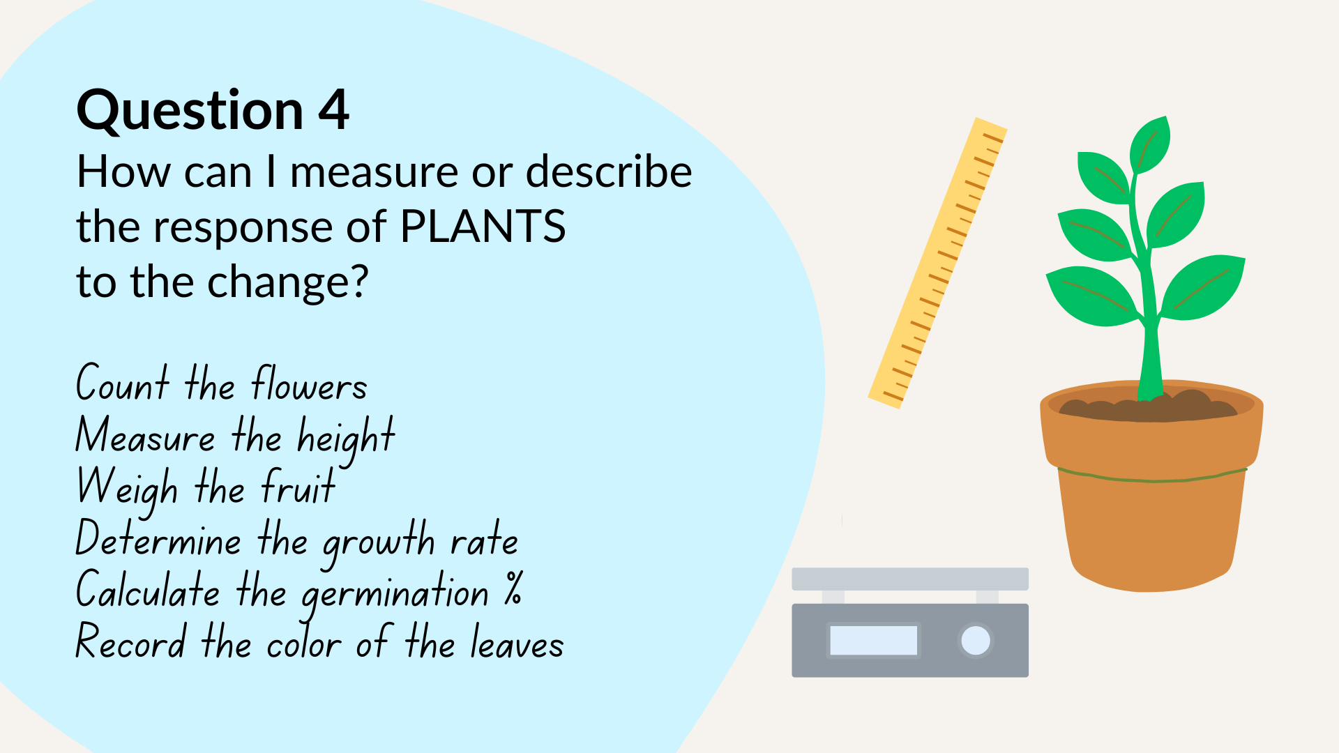 Question 4: How can I measure or describe the response of plants to the change? Examples: Count the flowers, Measure the height, Weigh the fruit, Determine the growth rate, Calculate the germination percent, Record the color of the leaves