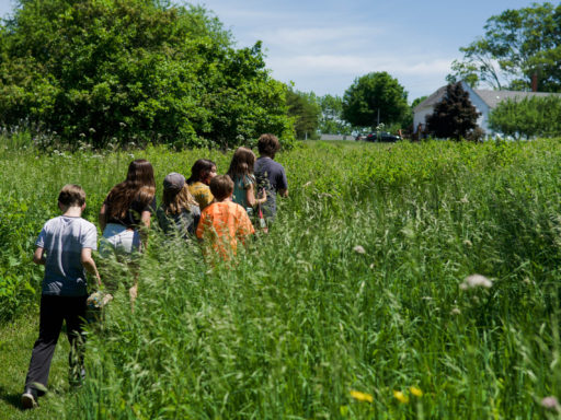 Children walk through tall grass with trees in the background.
