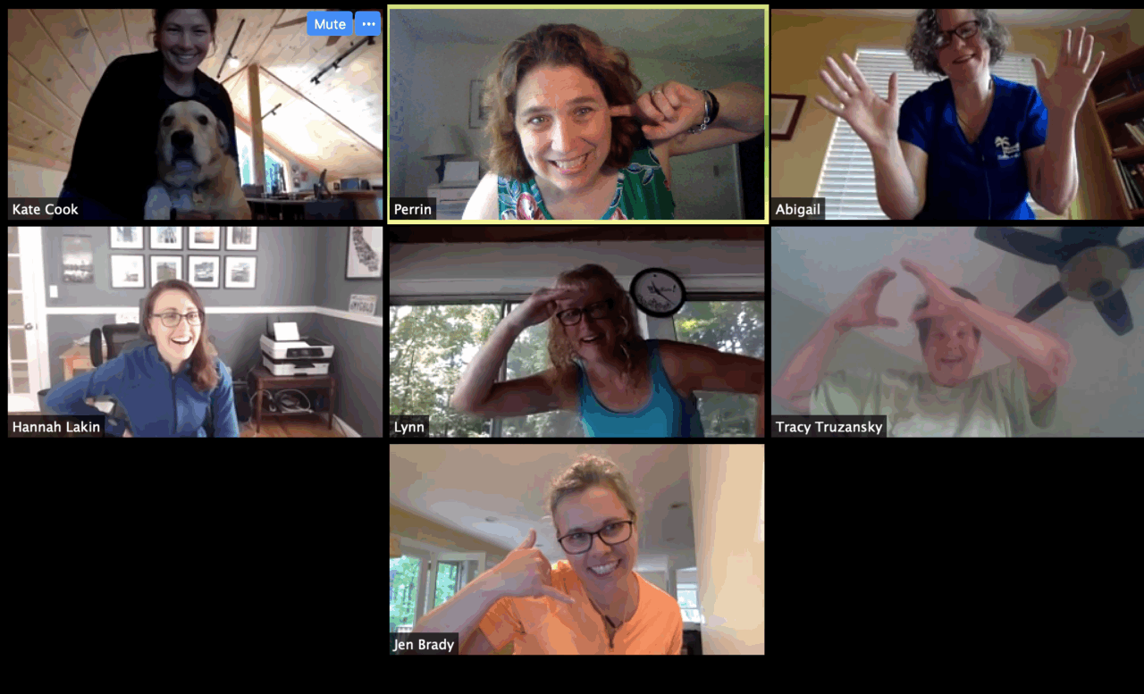 A group of ACRES participants and staff are shown in a Zoom call.