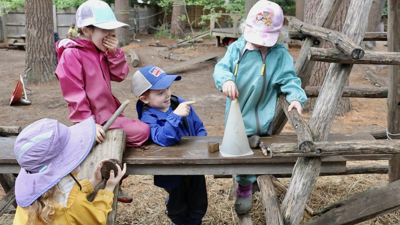 Article Details Three Lenses for Recognizing Play-Based Science