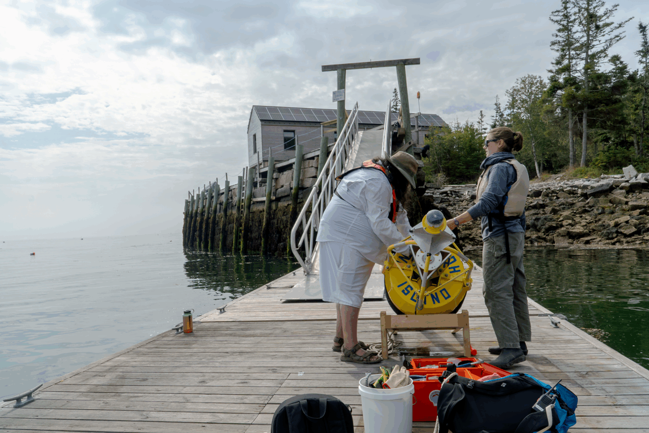 Ian Campbell, left, an educator from Shead Memorial High School in Eastport, spent two weeks with scientists at the Hurricane Island Center for Science Leadership during an externship with MMSA’s Maine Bridge Project. He participated in hands-on ocean research to better understand Maine’s scientific workforce and develop classroom projects inspired by the work of the researchers on the island.