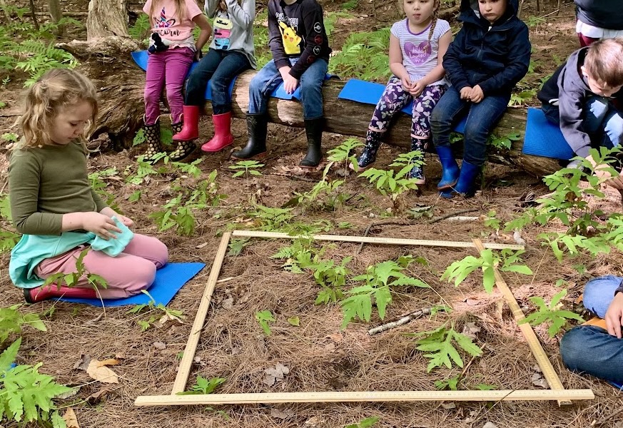 Building Strong Foundations: An Early Numeracy Initiative