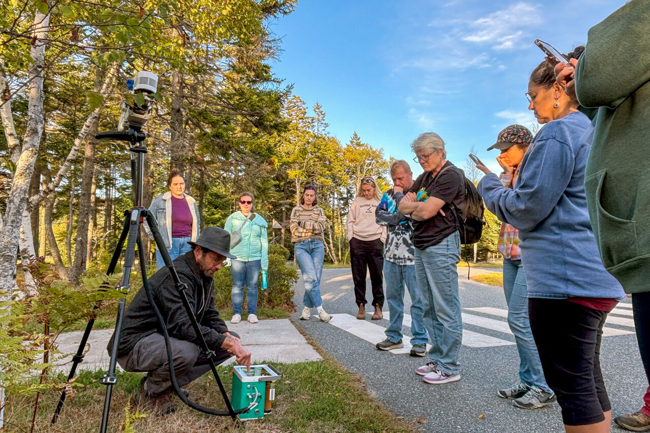 3 Ways Externships Invigorate STEM Learning