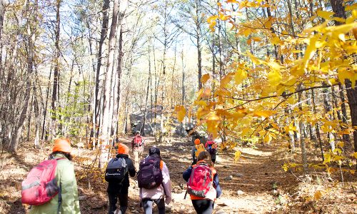 Children and adults walk through the woods in the fall.